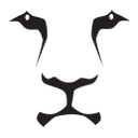 The Lion Group LLC logo